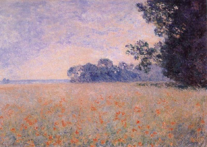 Claude Monet Oat and Poppy Field Spain oil painting art